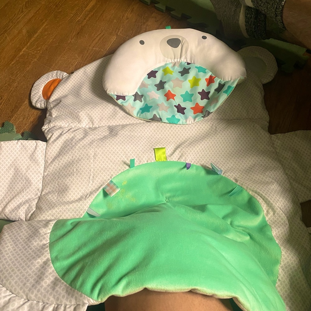 Play mat and car seat toy